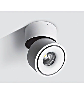 Потолочный светильник LED Onda-R/A2 LID13882 Потолочный светильник LED Onda-R/A2 LID13882