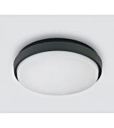 Потолочный светильник LED Theia-R LID13625