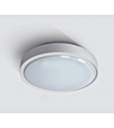 Потолочный светильник LED Berry LID13901