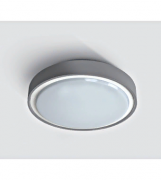 Потолочный светильник LED Berry LID13898