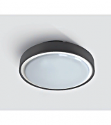 Потолочный светильник LED Berry LID13899